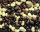 FRUNI Schoko Cashew Mix