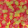 Kindlys Gom Aardbeien Rood/Groen