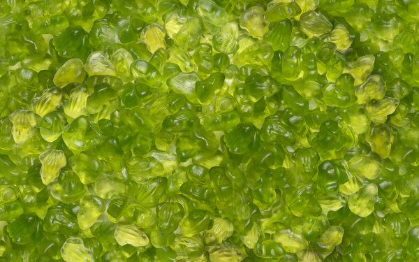 Kindlys Gom Kikkers groen