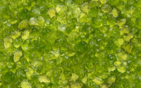 Kindlys Gom Kikkers groen